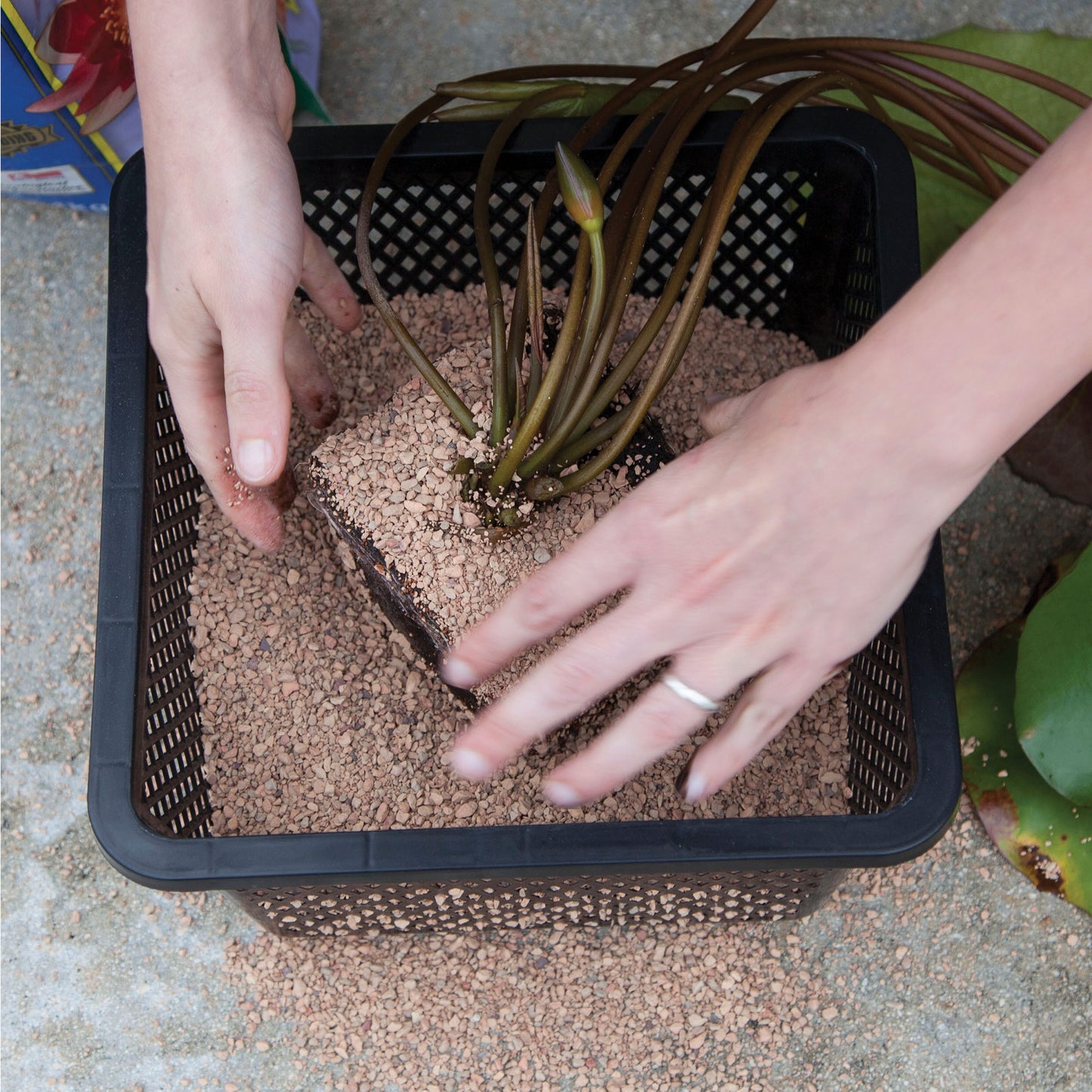OASE AQUATIC PLANT BASKET 10 X 10 X 6