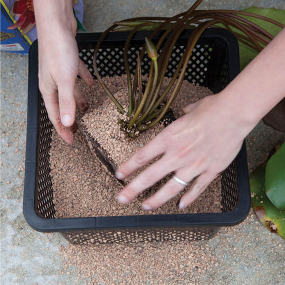 OASE AQUATIC PLANT BASKET 10 X 10 X 6