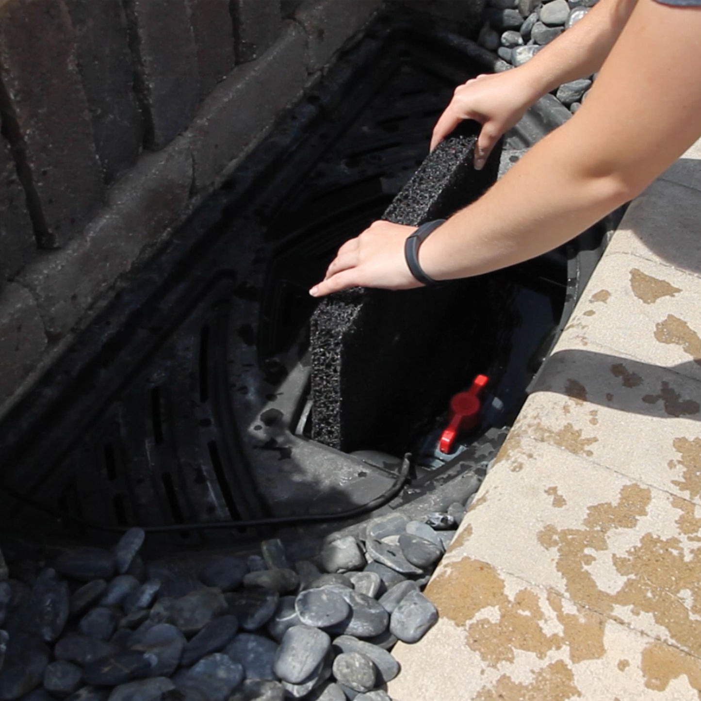 CFBASIN12 REPLACEMENT FILTER