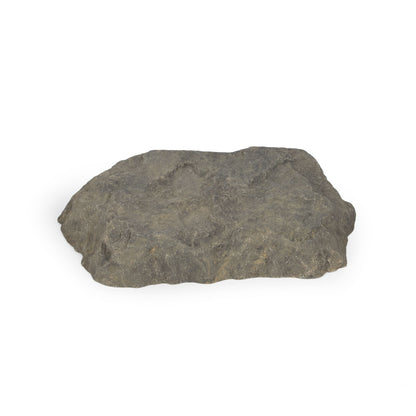 MEDIUM ROCK LID - MOUNTAIN