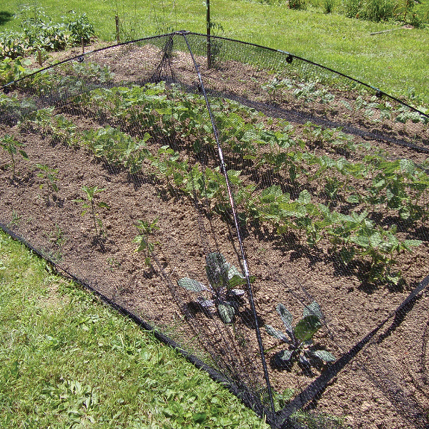 POND & GARDEN PROTECTOR - LARGE