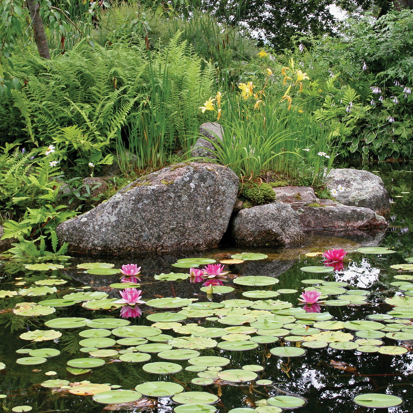 MEDIUM WATER GARDEN KIT - 11' X 16'